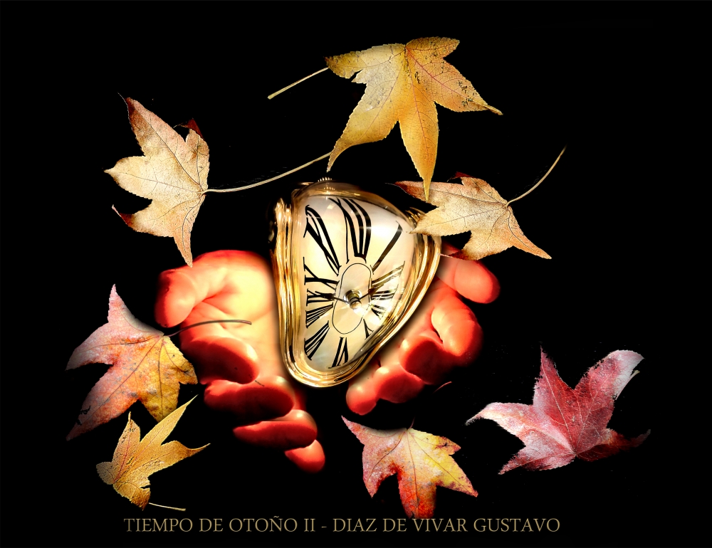 "Tiempo de otoo II - Diaz De Vivar Gustavo" de Gustavo Diaz de Vivar