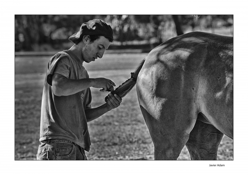 "Coiffeur" de Javier Adam