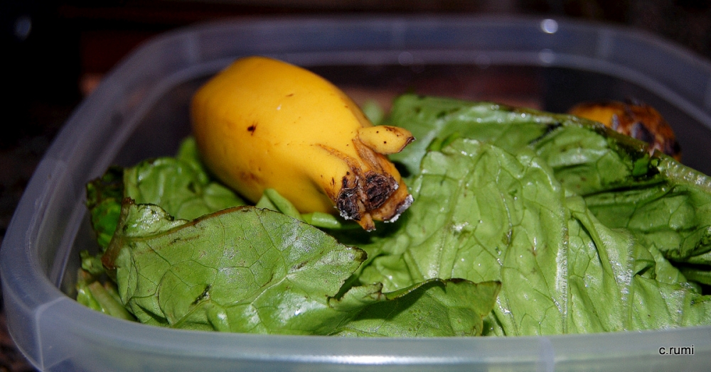 "hay un chancho en la lechuga" de Carlos Domingo Rumi