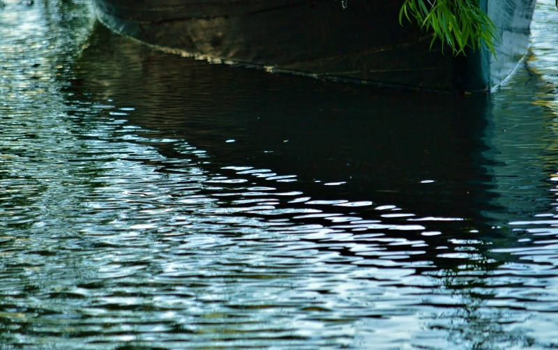 "Reflejos del Hum II" de Hctor Rodrguez Cacheiro