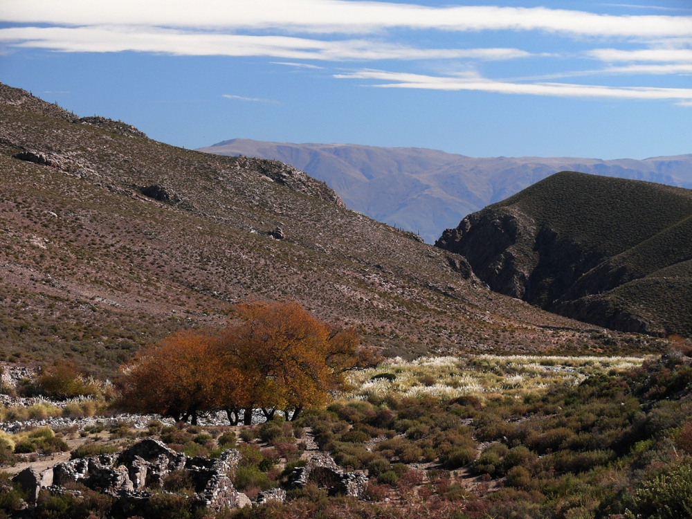 "Ruta a Santa Maria" de Daniel Rodolfo Avila