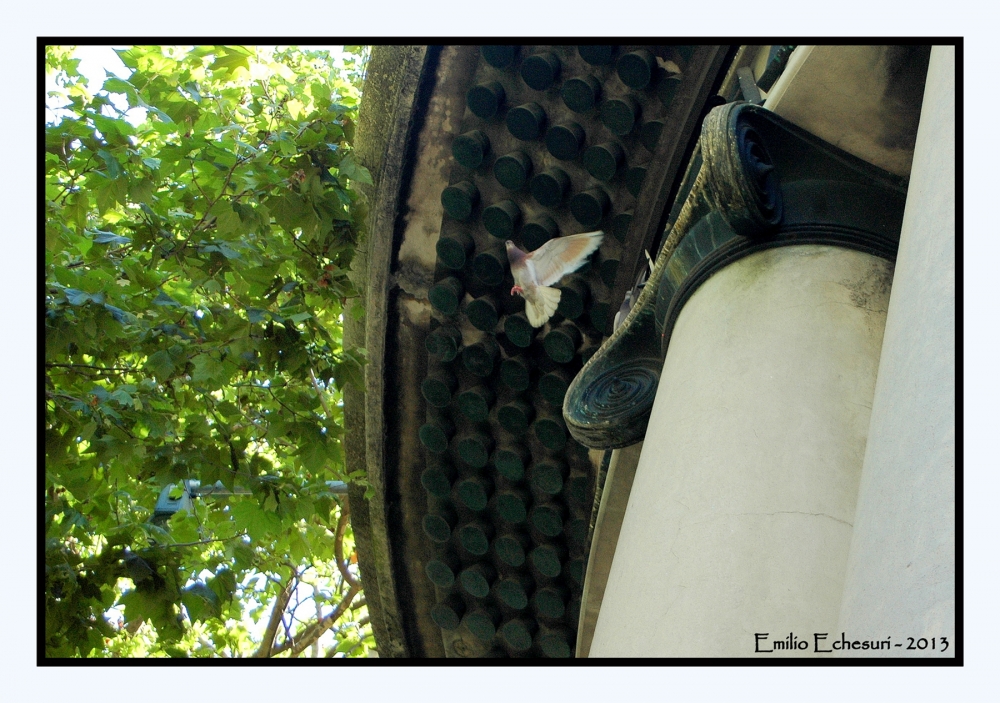 "Echar a volar" de Emilio Echesuri