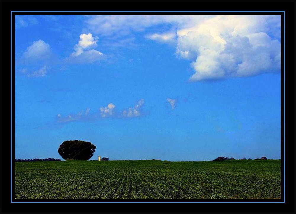 "Oro verde ...." de Arturo H. Pea