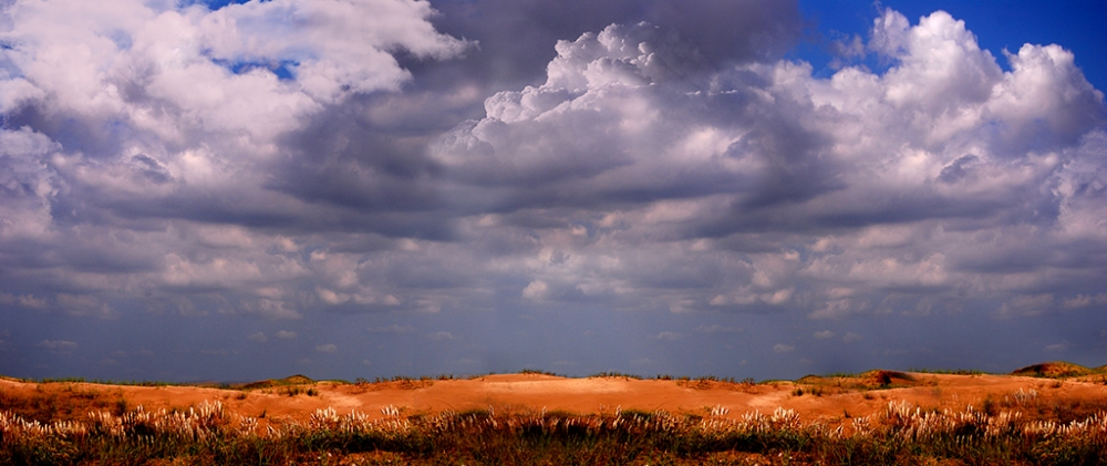 "Dunas" de Gustavo Martnez