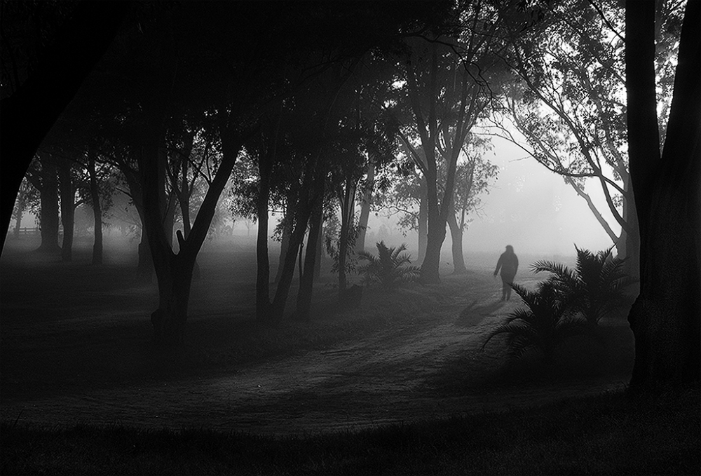 "En soledad II" de Fernando Valdez Vazquez