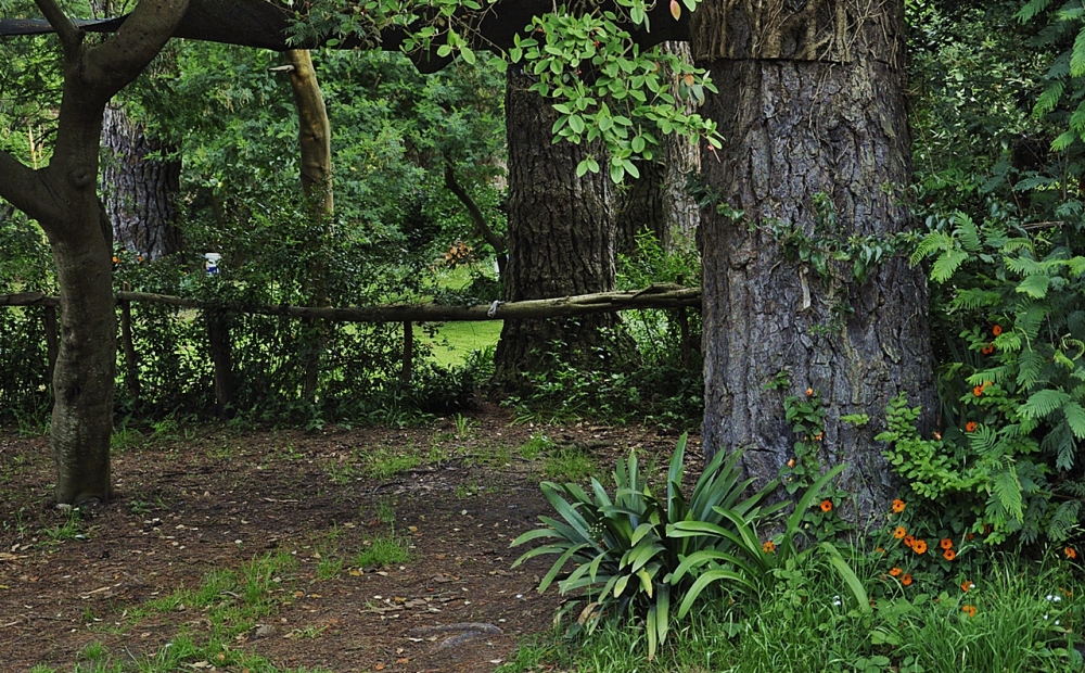 "Eco-cochera" de Ral Cancela