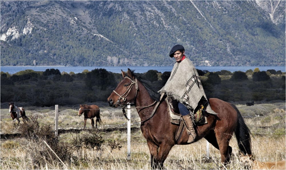 "El arriero" de Javier Adam