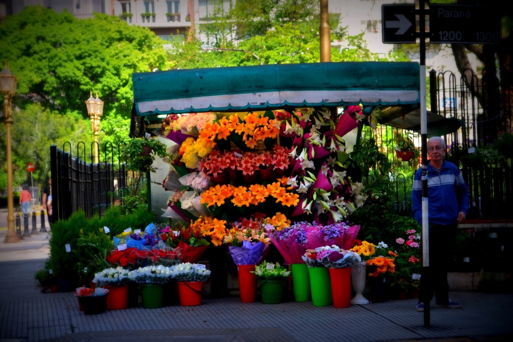 "Esquinas multicolores" de Jose Torino