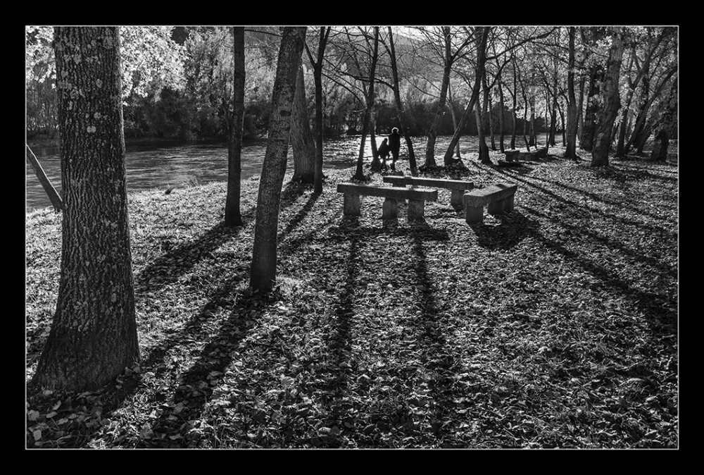 "Paseo de outono" de Gustavo Docampo