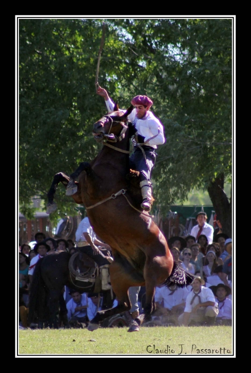 "Jineteando la Vida..." de Claudio J. Passarotto