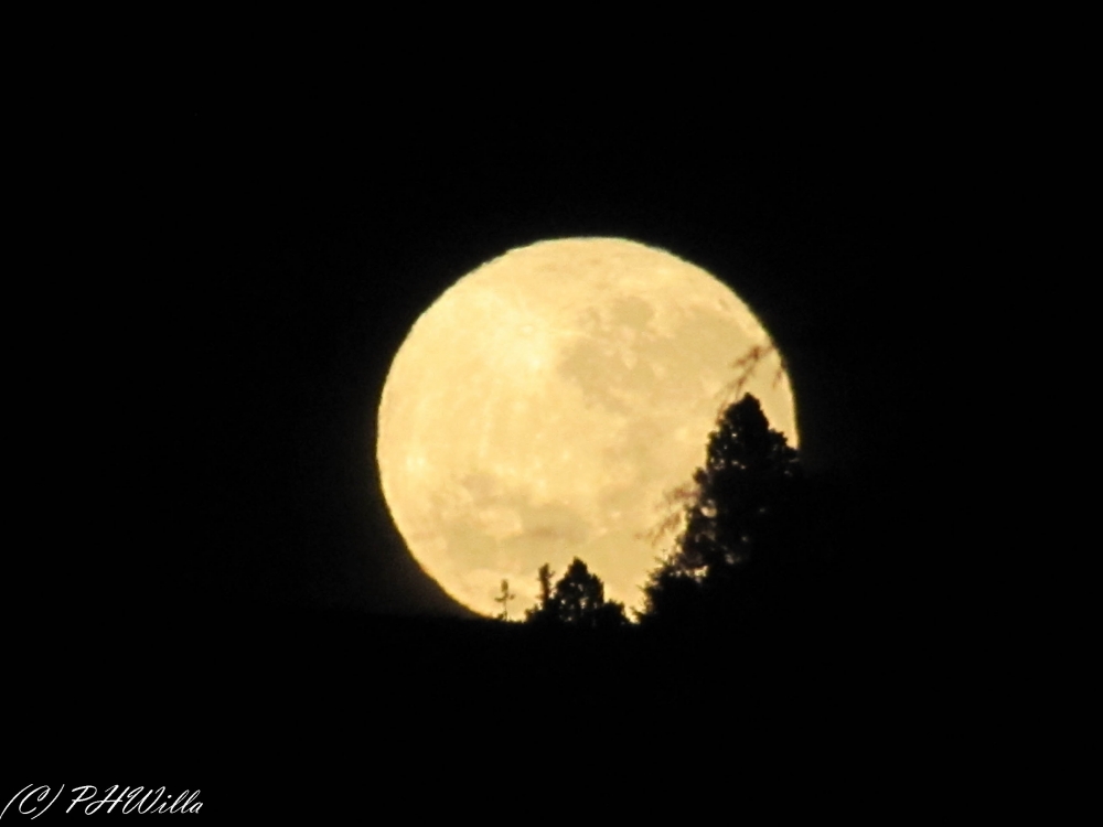 "Jugando con la luna!" de Edgard Enrique Quezada