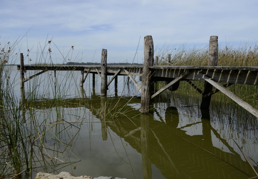 "Reflejo del muelle" de Monica Rollan