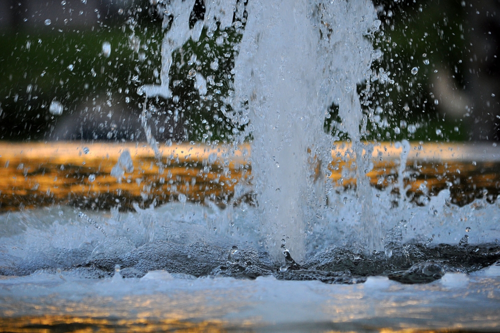 "Agua de la fuente" de Beatriz Franchini