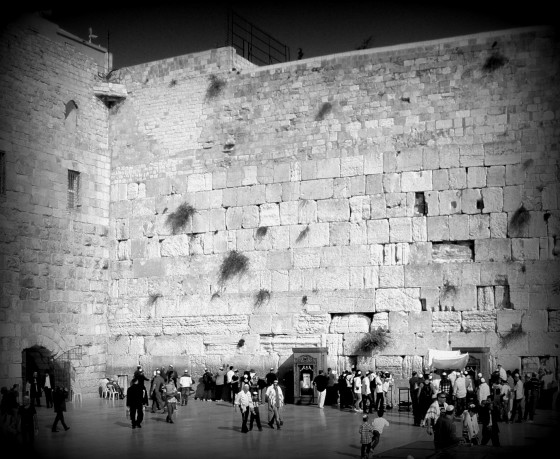 "el Kotel (Muro de los Lamentos), Jerusalem." de Tzvi Katz