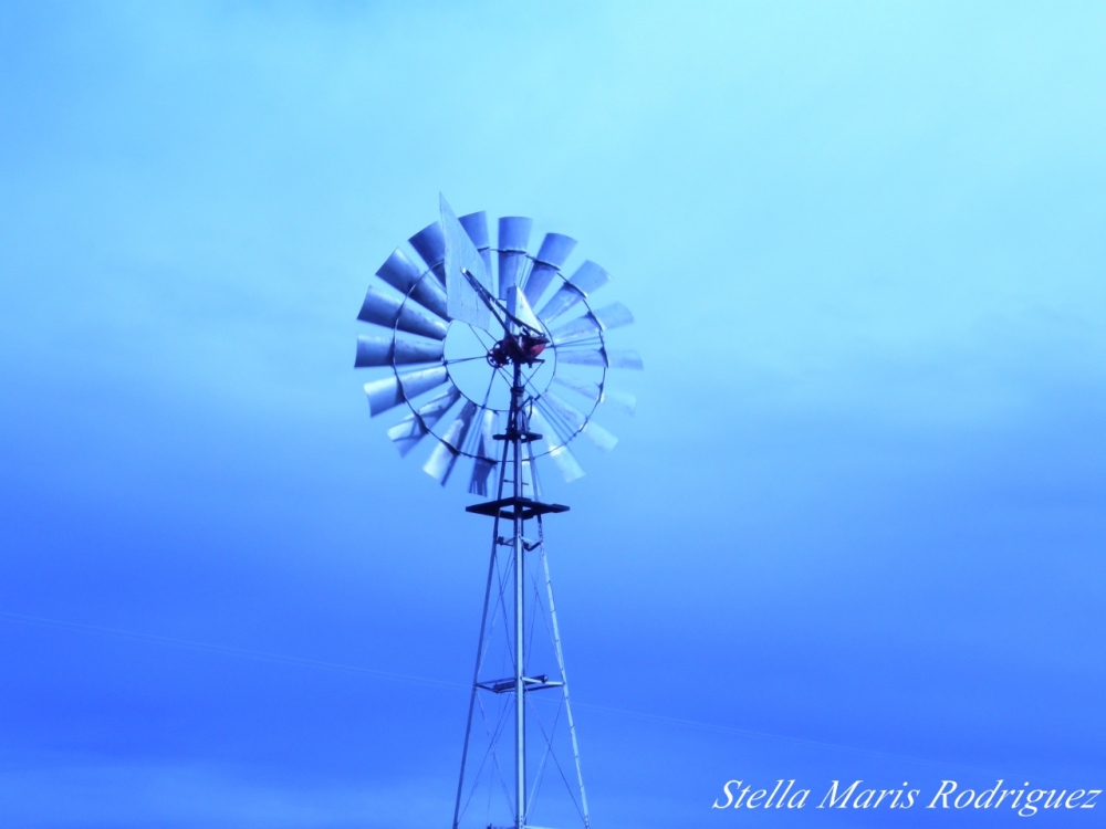 "` Sintona en azul `" de Stella Maris Rodriguez