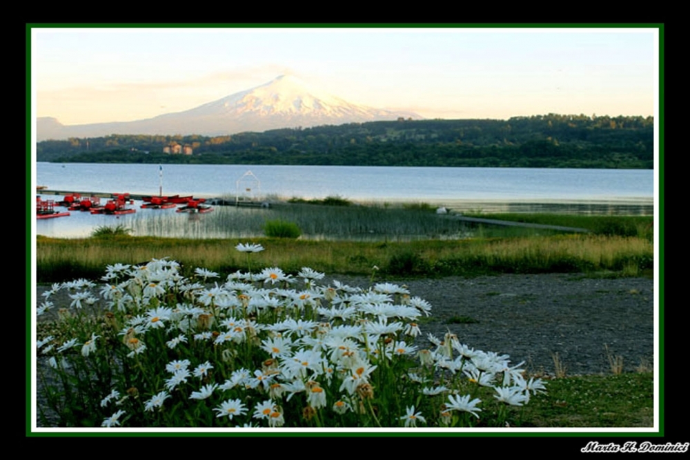 "Una tarde en Villarrica" de Marta Dominici