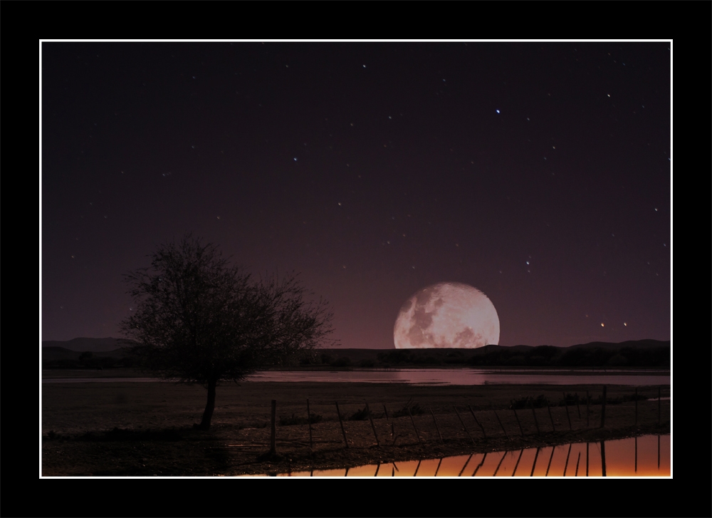 "El romance del arbol y la luna" de Robinson Palleres