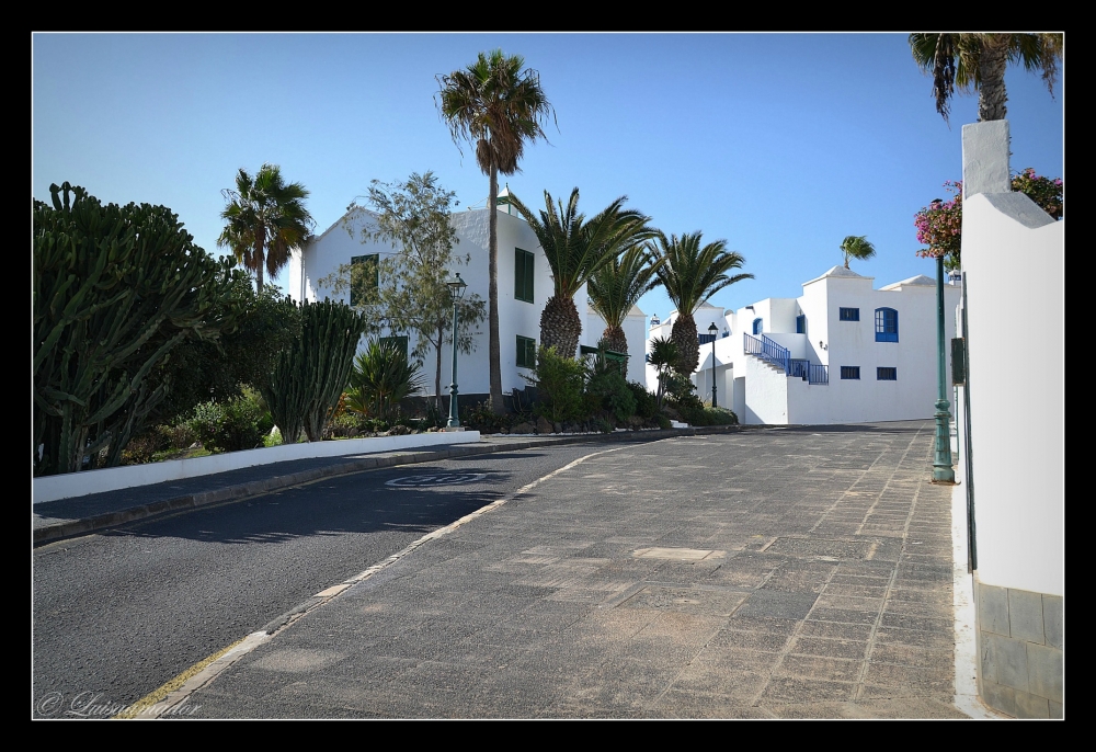 "CALLE DE CANARIAS" de Luisamaria Amador