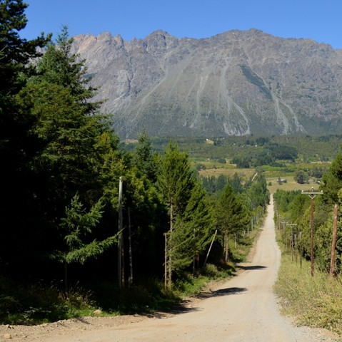 "El caminito" de Gloria Fanny Jimenez