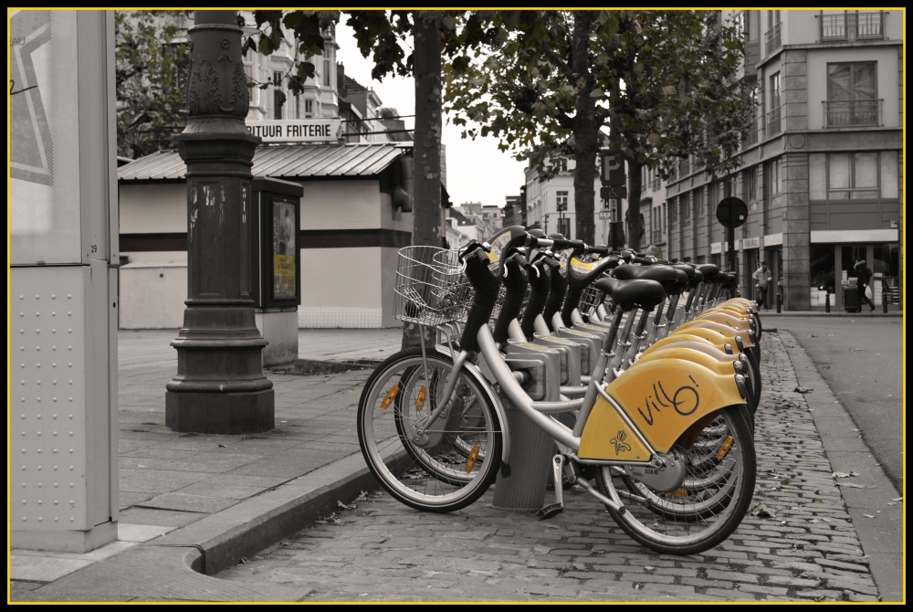 "Bicis en otoo" de Luis Fernando Somma (fernando)