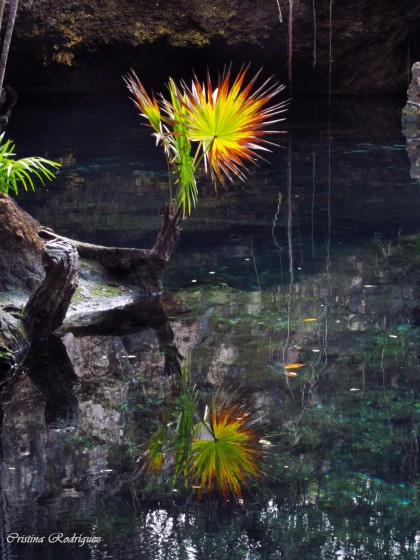 "El spejo del cenote" de Cristina Beatriz Rodrguez