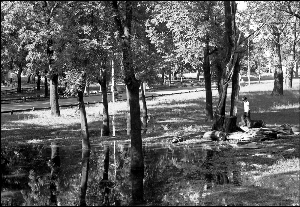 "Meditacin en el bosque" de Jorge Vicente Molinari