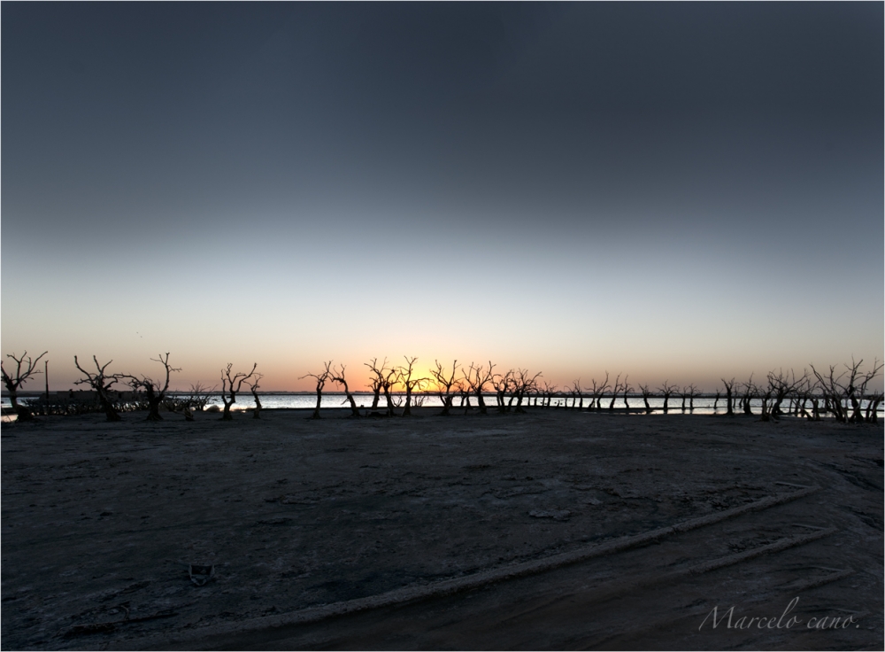 "Suntes , Epecuen ,y su silencio,.." de Marcelo Nestor Cano