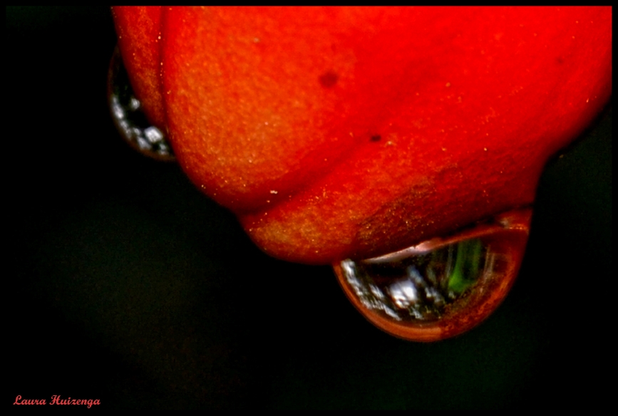 "Una gota" de Laura Noem Huizenga