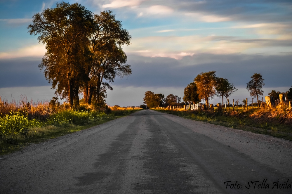 "Camino alternativo" de Stella Avila