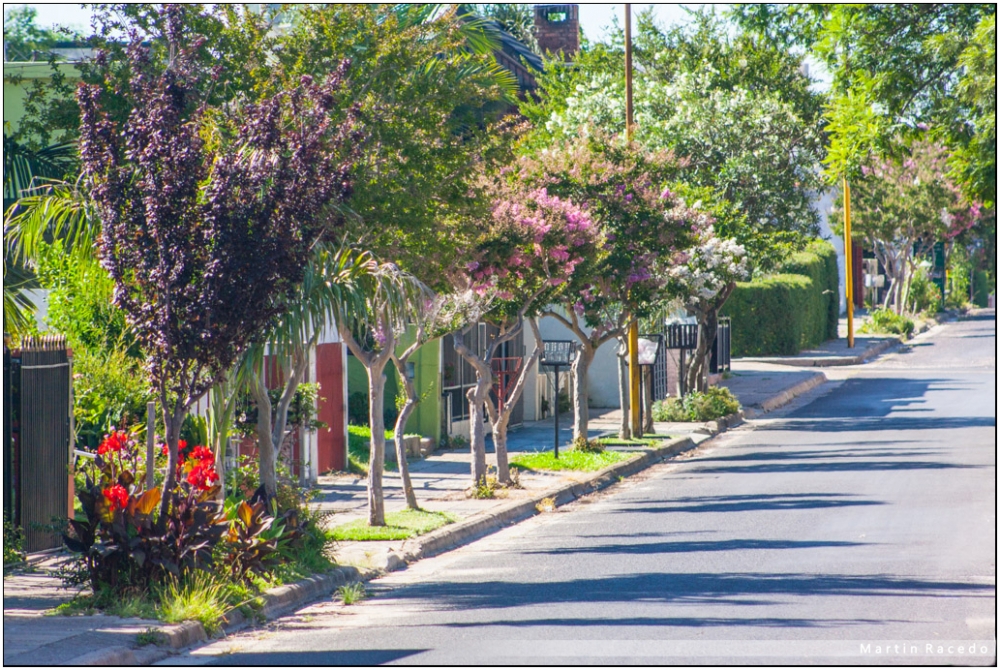 "Calle florida" de Martin Racedo