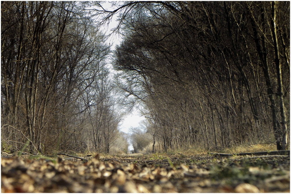 "Tunel" de Javier Adam