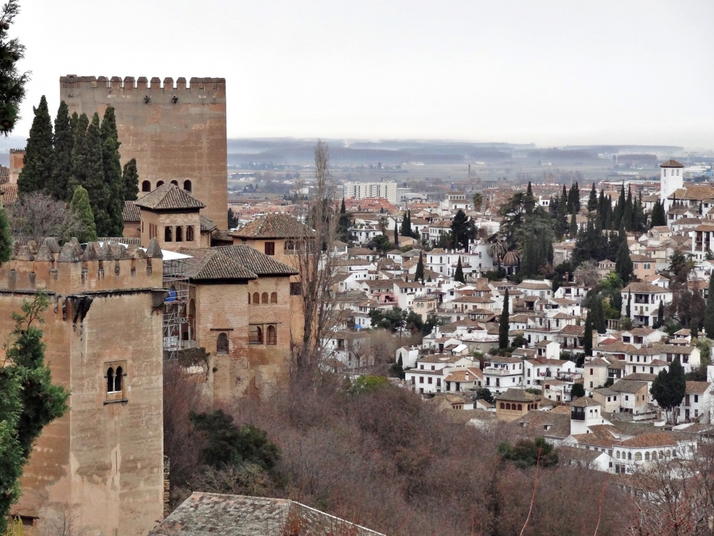 "Vista de Granada desde La Alhambra" de Fernando Bordignon