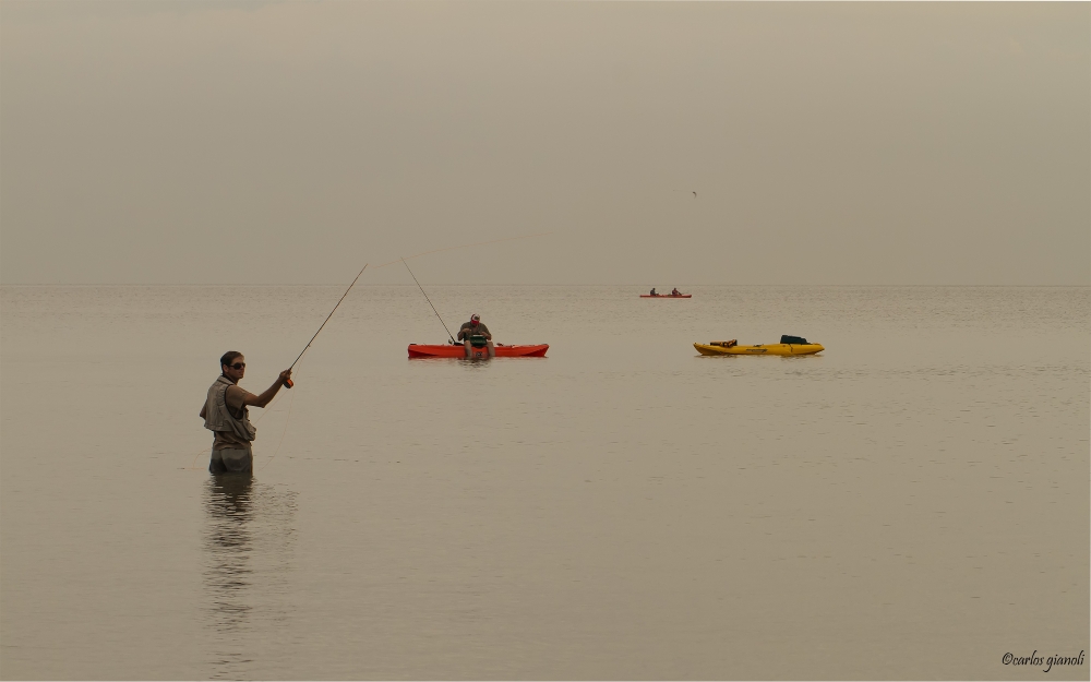 "Pescando" de Carlos Gianoli