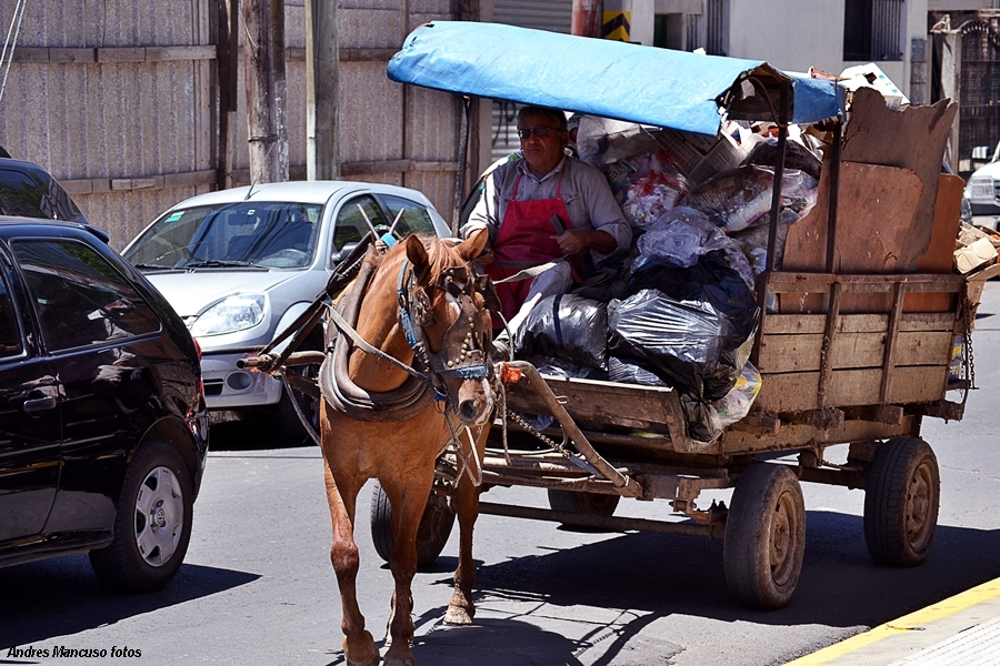 "Recolector (traccion a sangre)" de Andres Mancuso