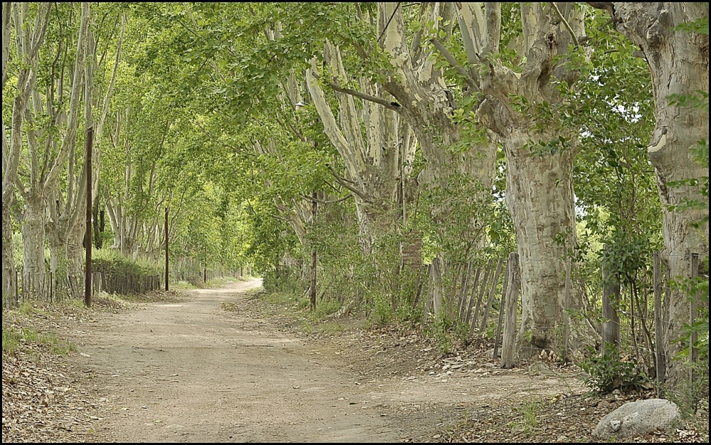 "Callejon y caminatas." de Ral Cancela