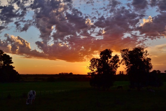 "Atardecer rural" de Marcela Granero