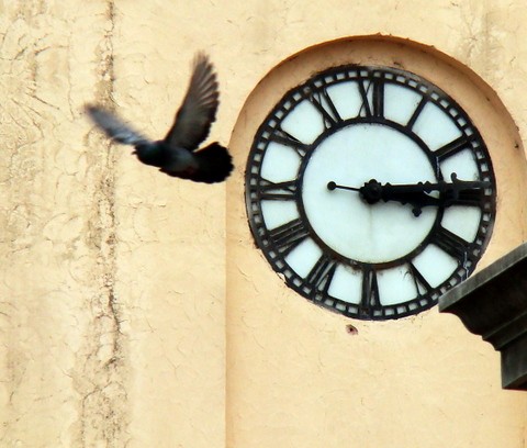 "El vuelo" de Gloria Fanny Jimenez