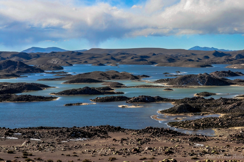 "De la serie Parque Nacional Lauca" de Stella Avila