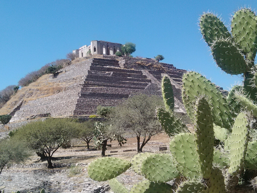 "Nopales y piramide" de Rosario Cota