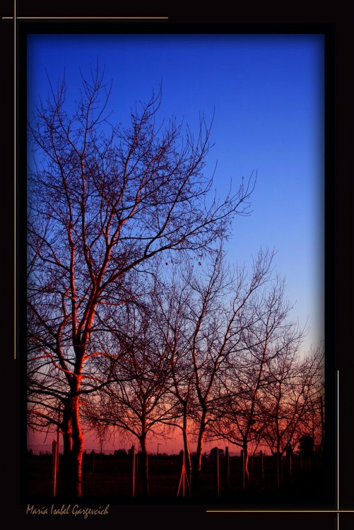 "Colores de un atardecer III" de Mara Isabel Gargevcich