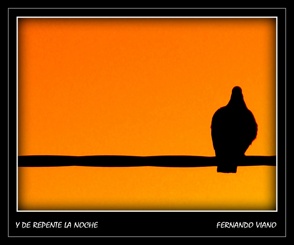 "Y de repente la noche" de Fernando Viano