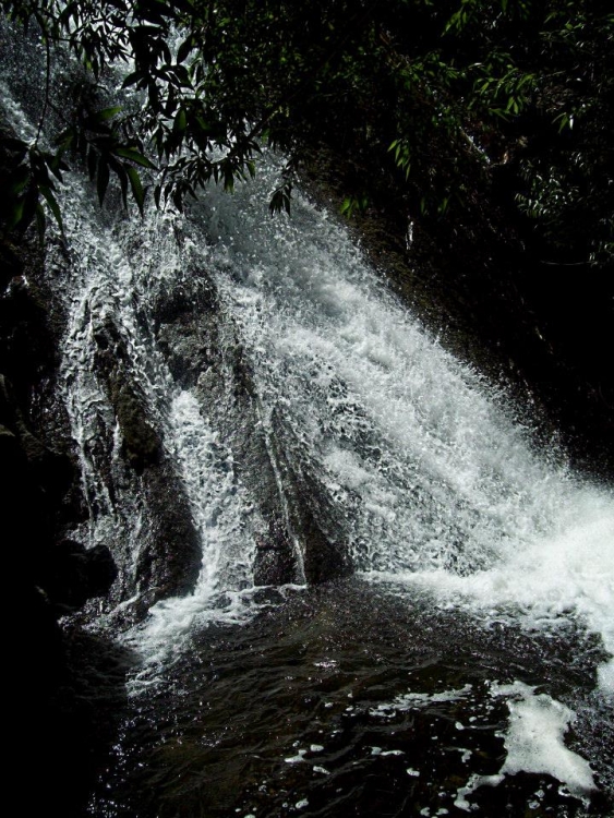 "agua que no has de beber...." de Marisol Salvador