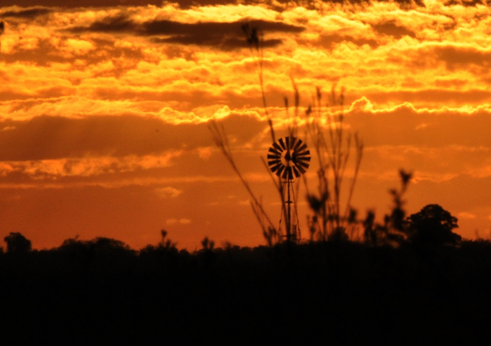 "Atardecer" de Monica Casso