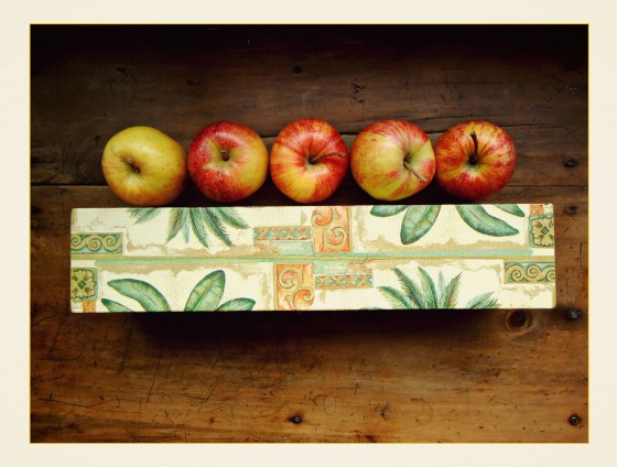 "5 manzanas" de Ana Maria Walter