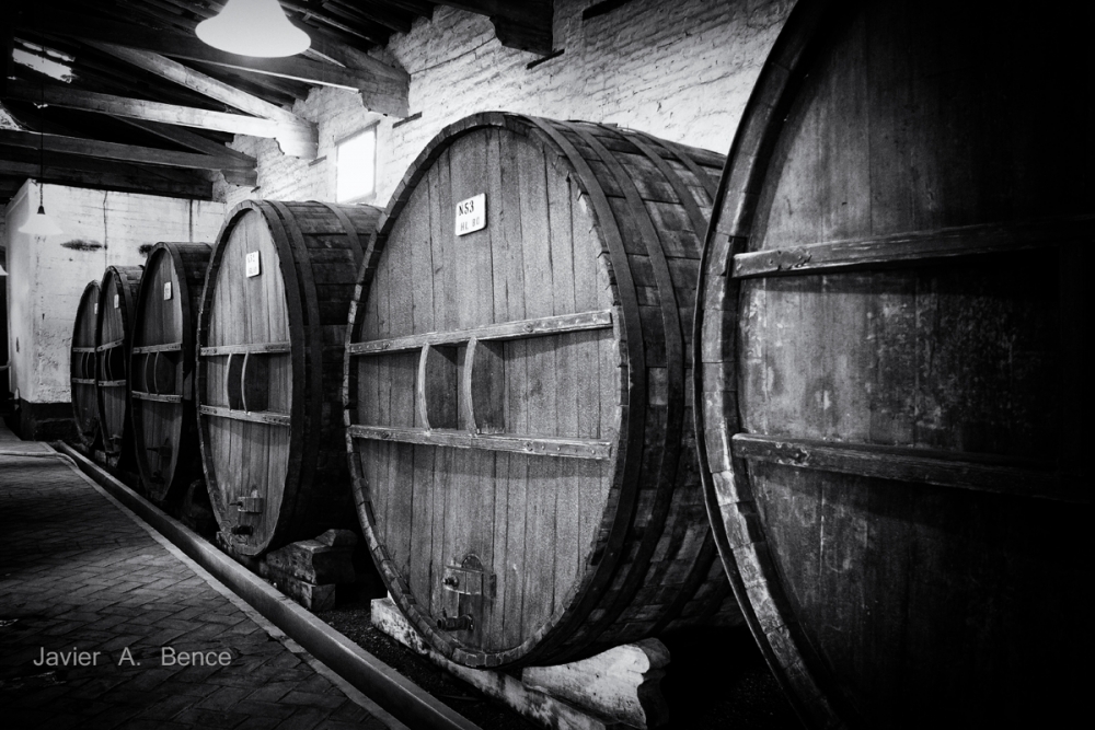 "Viejo vino tinto/Old red wine" de Javier Bence
