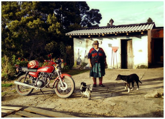 "LA BELLEZA DEL CAMPO.LA BELLEZA DE UNA VIDA" de Ana Maria Walter