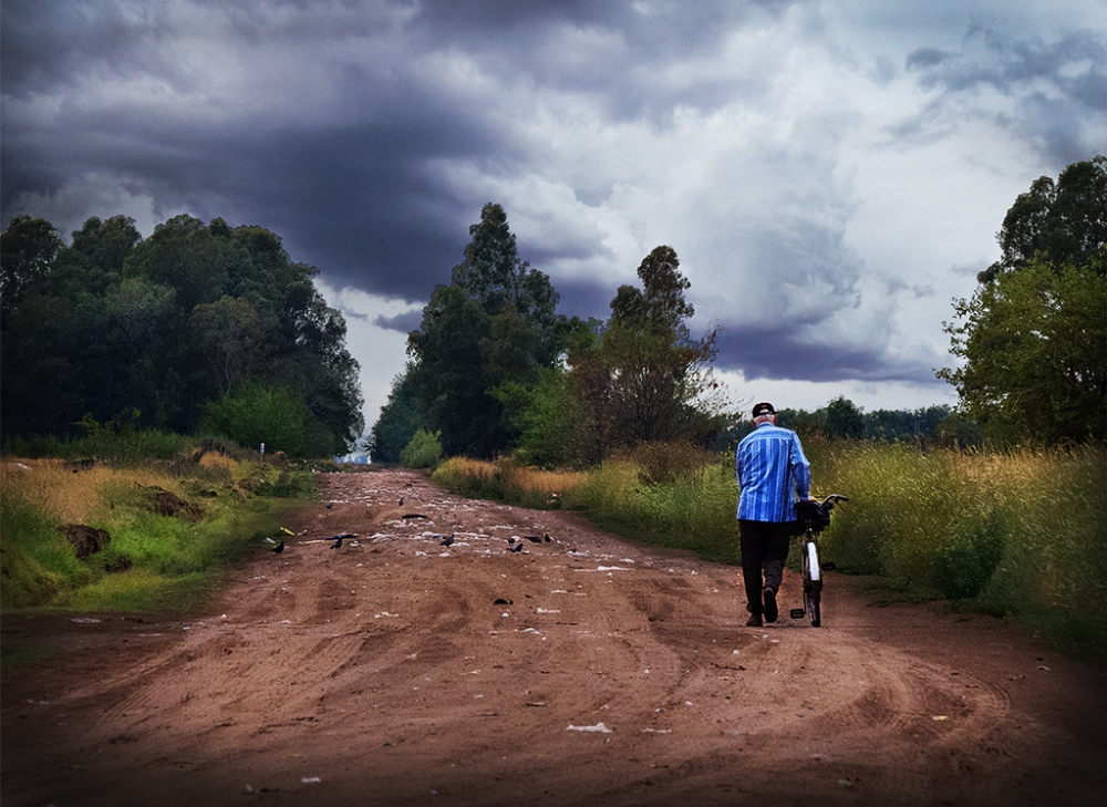 "Un largo camino a casa" de Fernando Valdez Vazquez