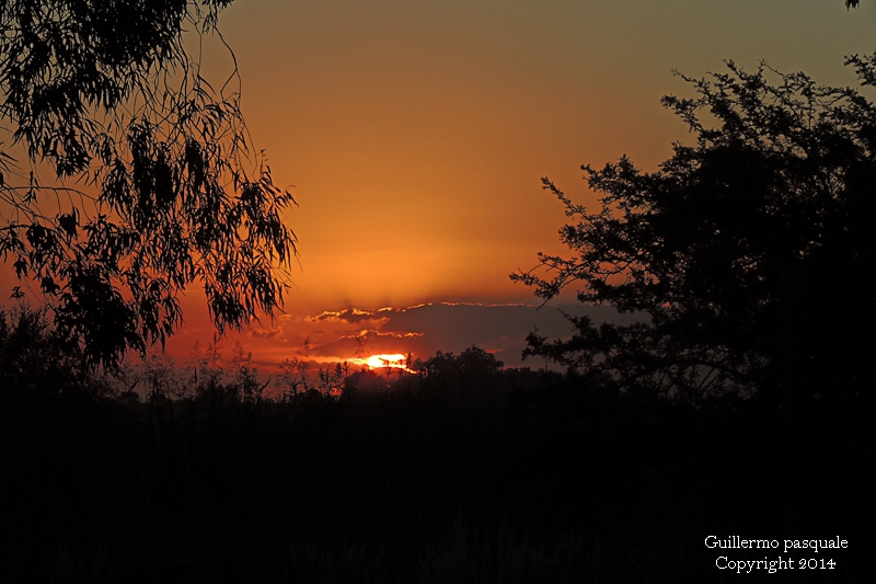 "Atardecer en La Legua" de Guillermo Daniel Pasquale