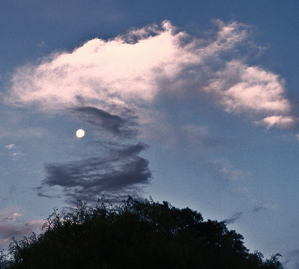 "Danza con nubes" de Mercedes Pasini