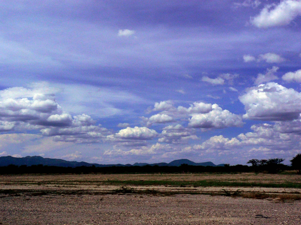 "el desierto,las nubes y esa paz que exilia el alma" de Miguel Fernandez Medina ( Elfs )